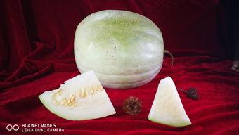 广州怎样吃白瓜,白瓜的多样食法体验指南