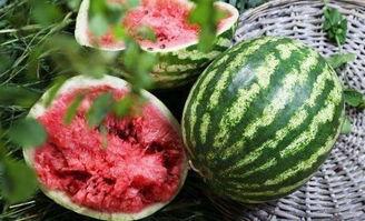 如何判断吃瓜好坏,如何一眼识出优质吃瓜