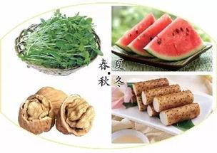 冬吃豆春吃芽夏吃瓜,冬豆春芽夏瓜，顺应时节调养身心