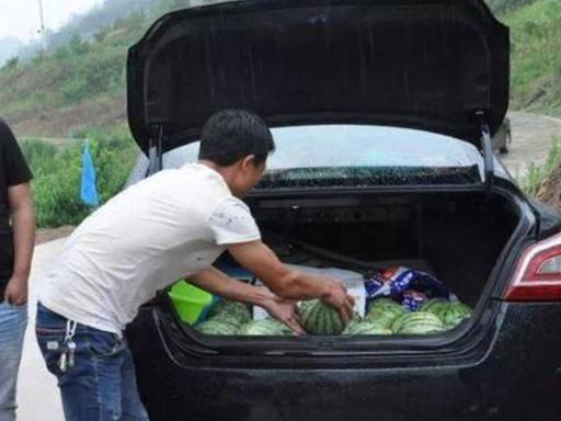 车子吃瓜图片,夏日清凉时光