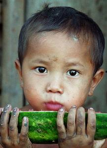 爰吃瓜的男孩,揭秘“爰吃瓜的男孩”的瓜界传奇