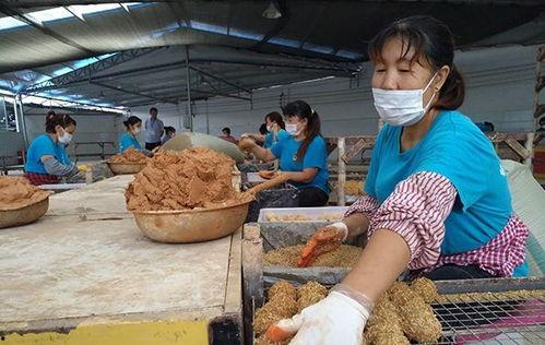 吃瓜江幼,揭秘“吃瓜江幼”背后的故事与影响