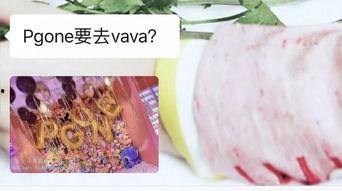 多伦多 吃瓜,瓜界风云录