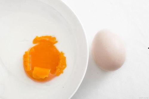 小瓜每天吃鸡蛋